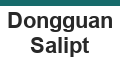 Dongguan Salipt