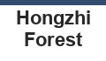 Hongzhi Forest