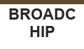 BROADCHIP